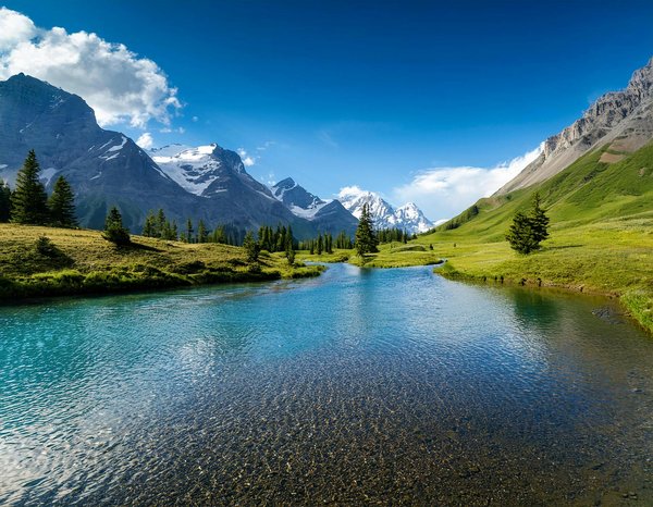 Comment organiser une visite des parcs nationaux de la côte ouest des États-Unis avec un budget serré?